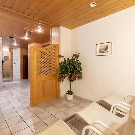 Hotel Austria Wildschoenau 3*