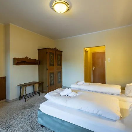 Hotel Austria Wildschoenau 3*