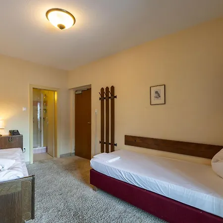 Hotel Austria Wildschoenau 3*