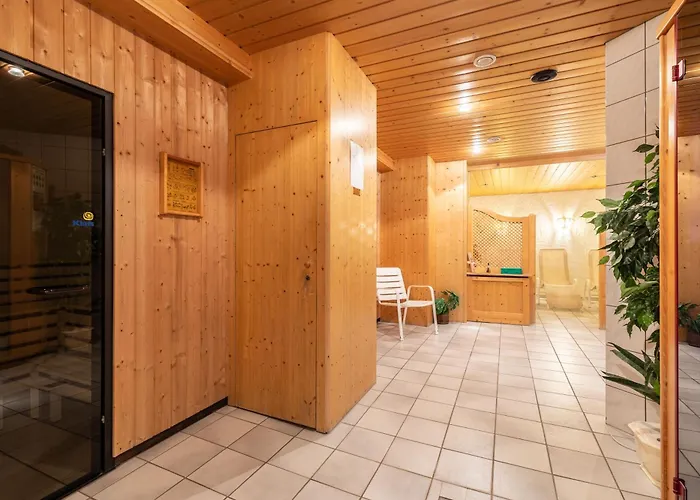 Austria Wildschoenau 3*