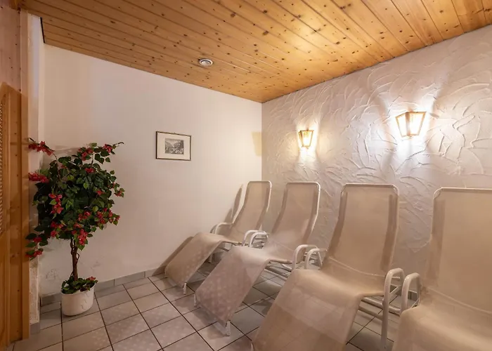 Austria Wildschoenau 3* نيديراو