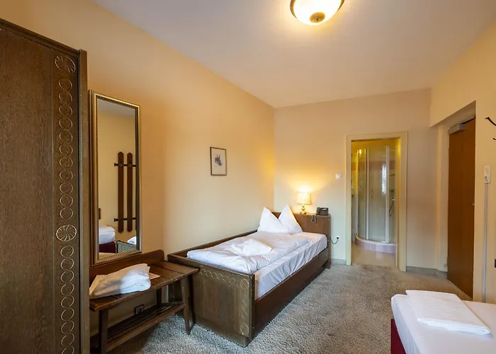 Austria Wildschoenau فندق 3*