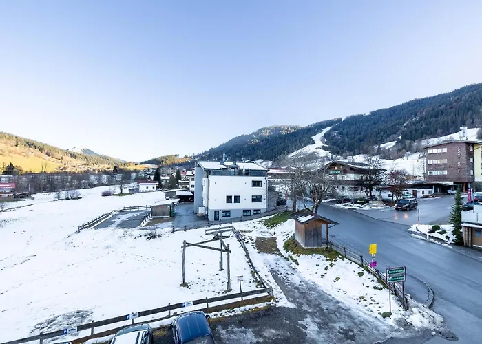 Austria Wildschoenau 3* نيديراو