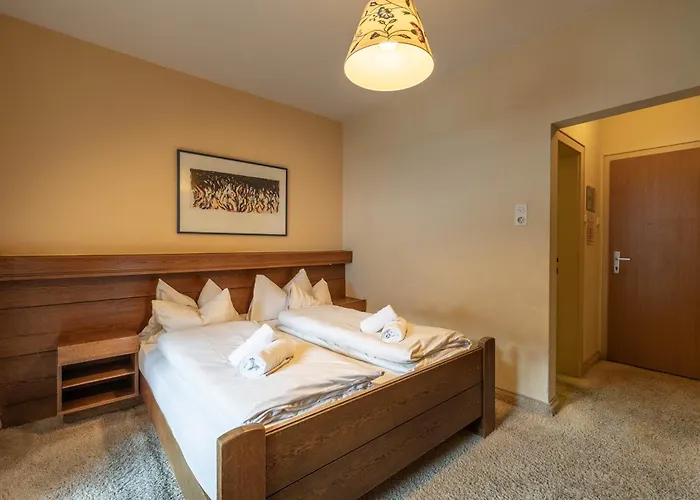 Austria Wildschoenau فندق نيديراو